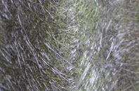 Harvills Hawthorn fibreglass roof work